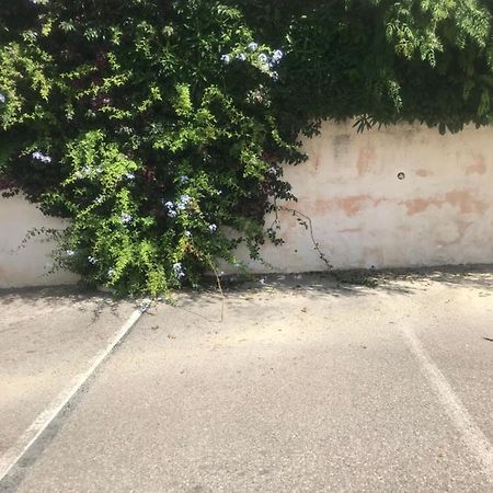Studio 2 Adultes 2 Enfants Sanary Sur Mer A 800M De La Mer Zewnętrze zdjęcie
