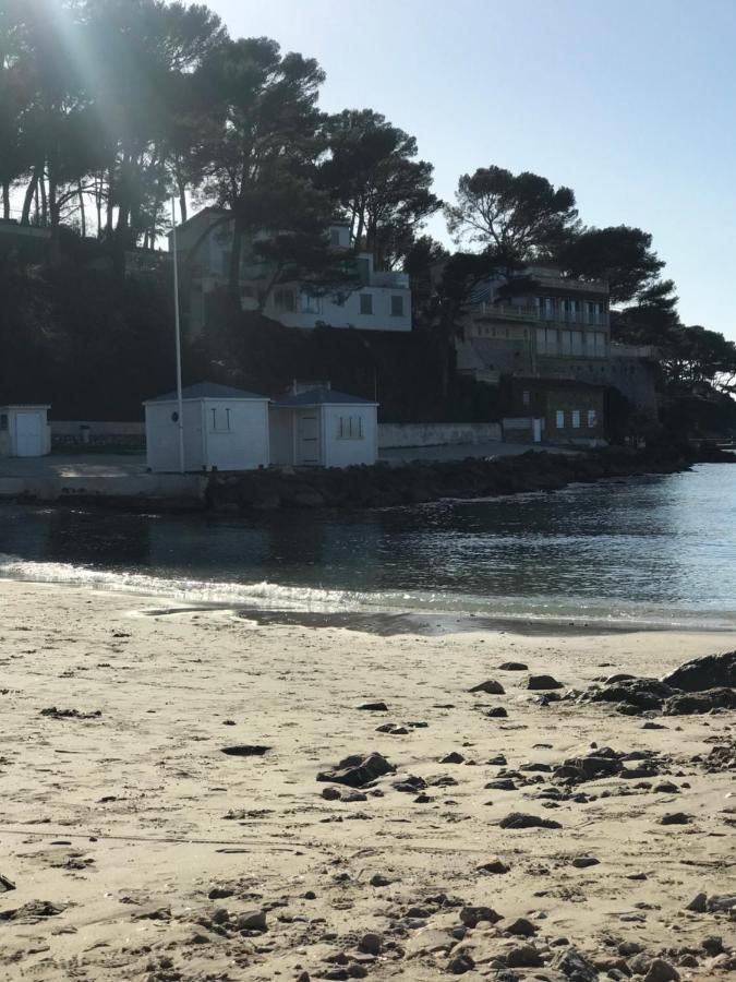 Studio 2 Adultes 2 Enfants Sanary Sur Mer A 800M De La Mer Zewnętrze zdjęcie